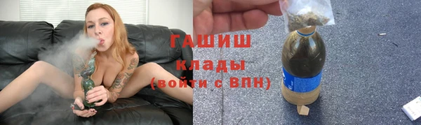 прущие грибы Бородино