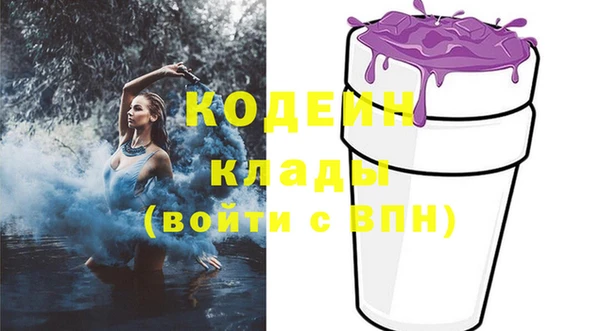прущие грибы Бородино