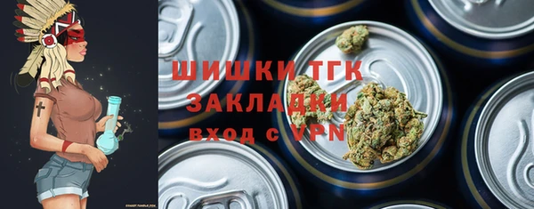 прущие грибы Бородино